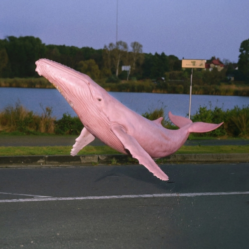 Uncomfortable release cover art