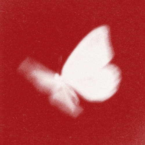 Butterfly 2026 release cover art