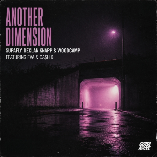 Another Dimension release cover art