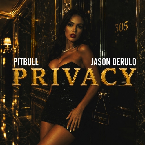Privacy release cover art