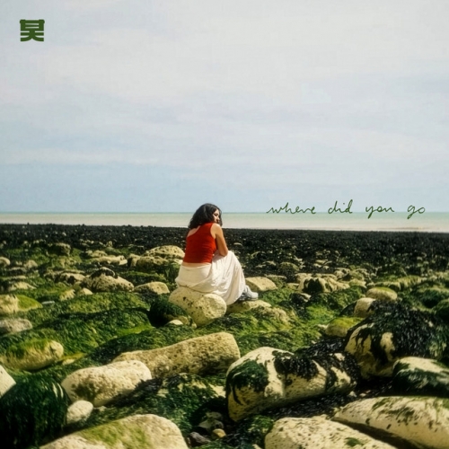 Where Did You Go release cover art