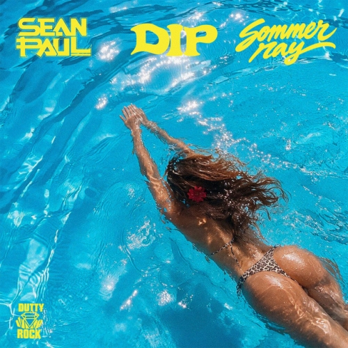 DIP release cover art